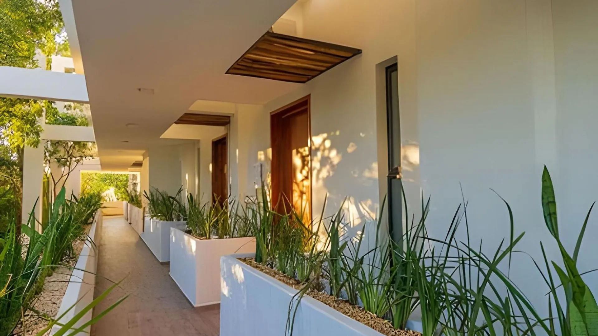 Penthouse With Private Pool Moots 303 Apartment Tulum